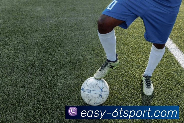 6T体育平台生态图